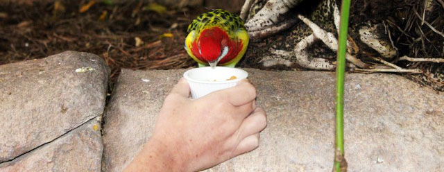 Imagem