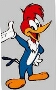 Avatar do usuário